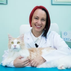 Foto da Vanessa Zimbres - Veterinária especializada em Medicina Felina