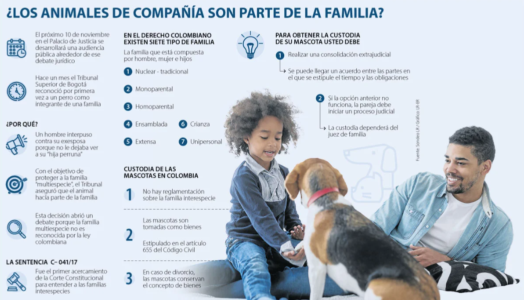Los animales de compañía podrían ser considerados legalmente como integrantes de la familia en Colombia
