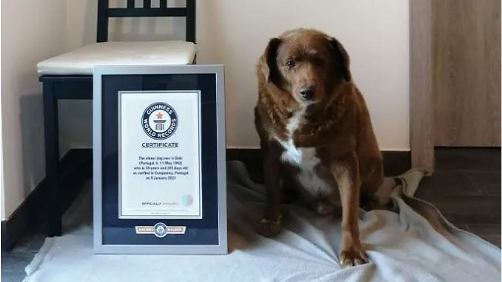  Guinness World Records