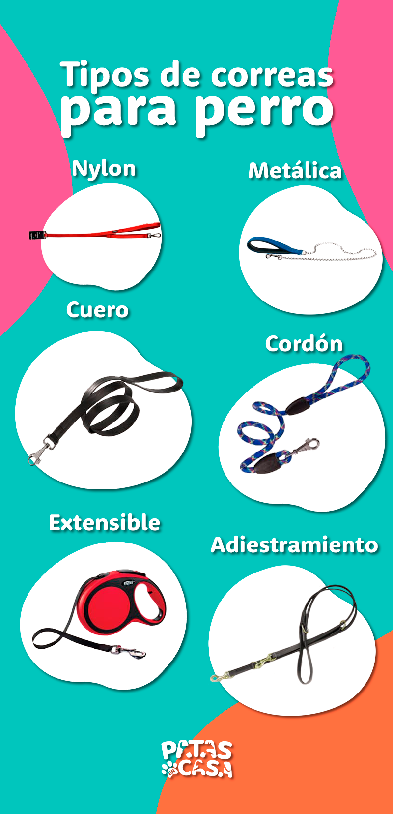 Tipos de correas para perros