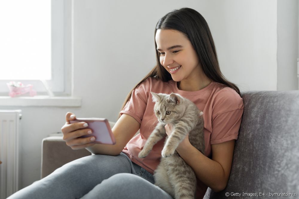 mulher sentada no sofá com gato