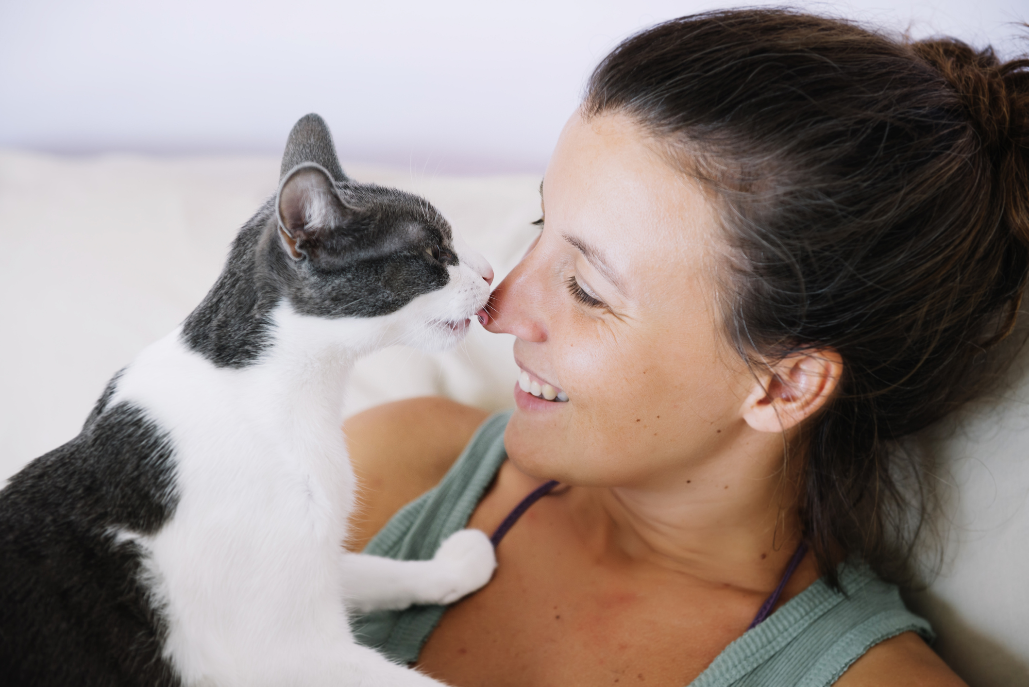 beijo de gato