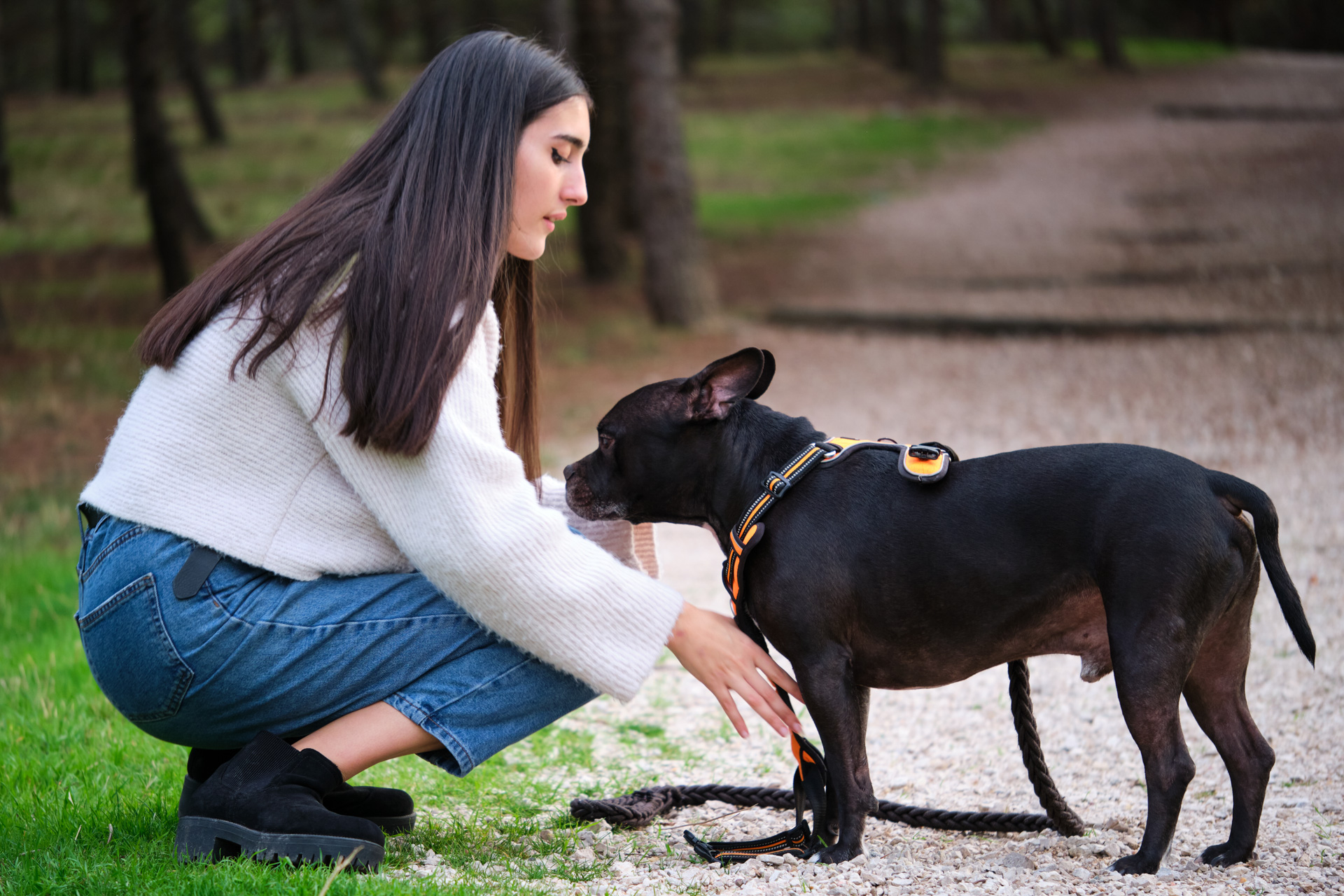 Tipos de correas para perros ¿Cómo elegir la adecuada?