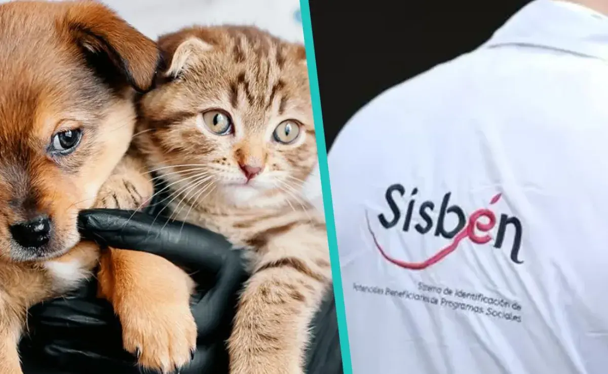 Sistema de Identificación de Potenciales Beneficiarios para Programas Sociales (SISBÉN)