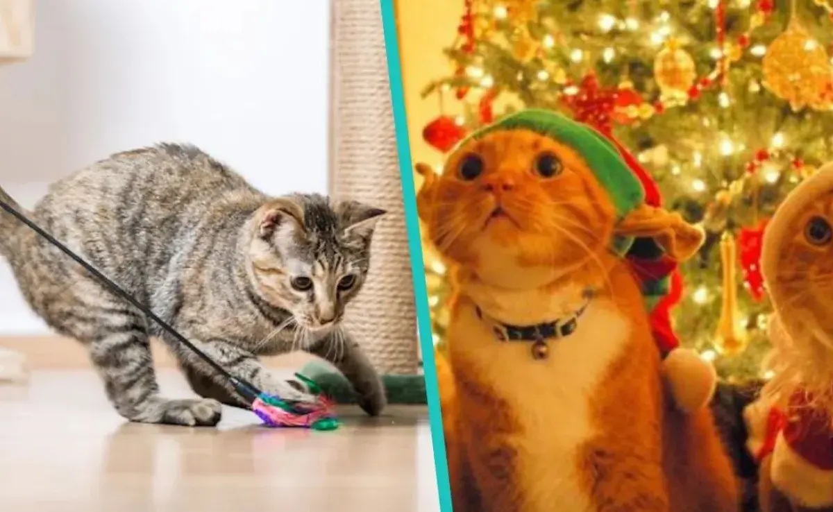 ¡Todos estos regalos puedes encontrarlos por internet!