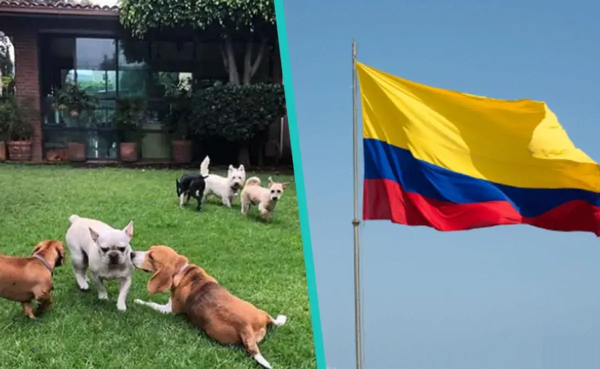 Si te encuentras en países como Chile, Argentina o México puedes consultar las listas aquí dándole clic a cada país