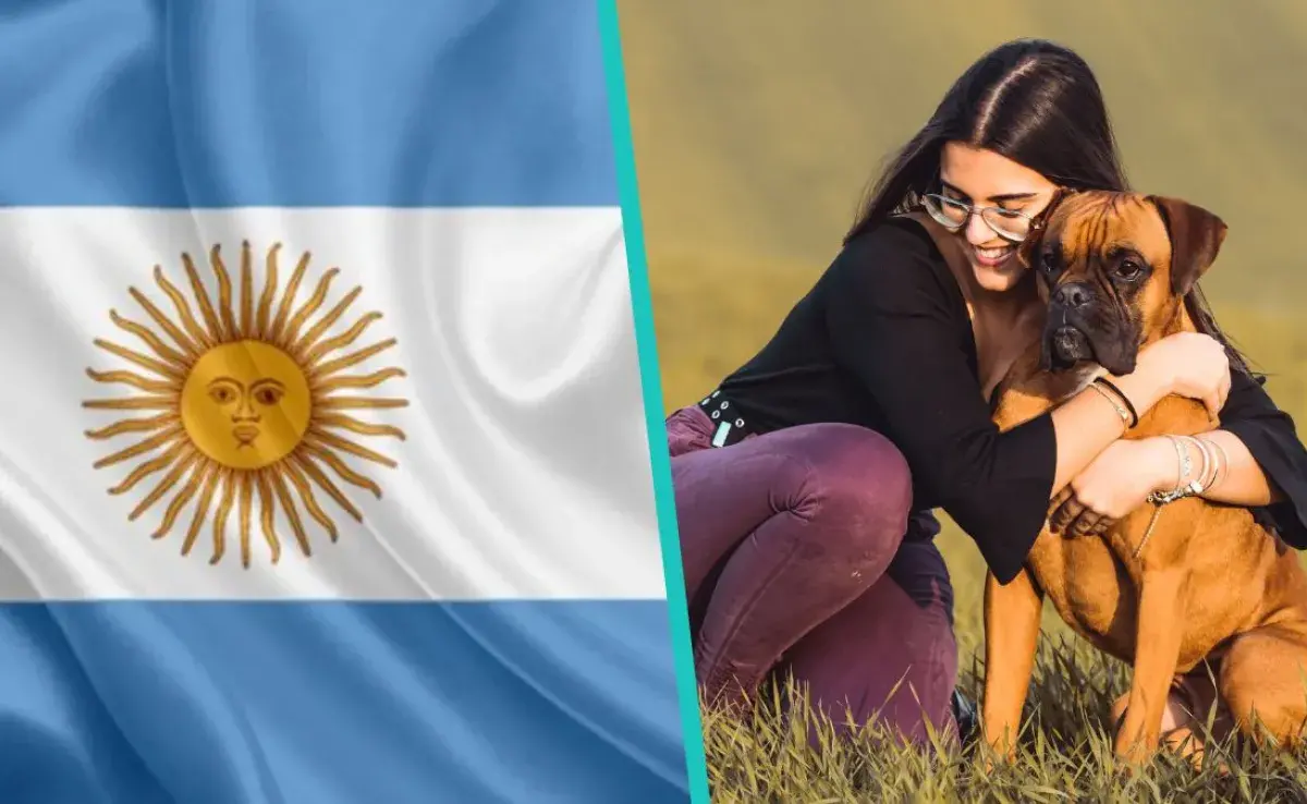 Los animales podrían ser considerados “personas no humanas sintientes”.