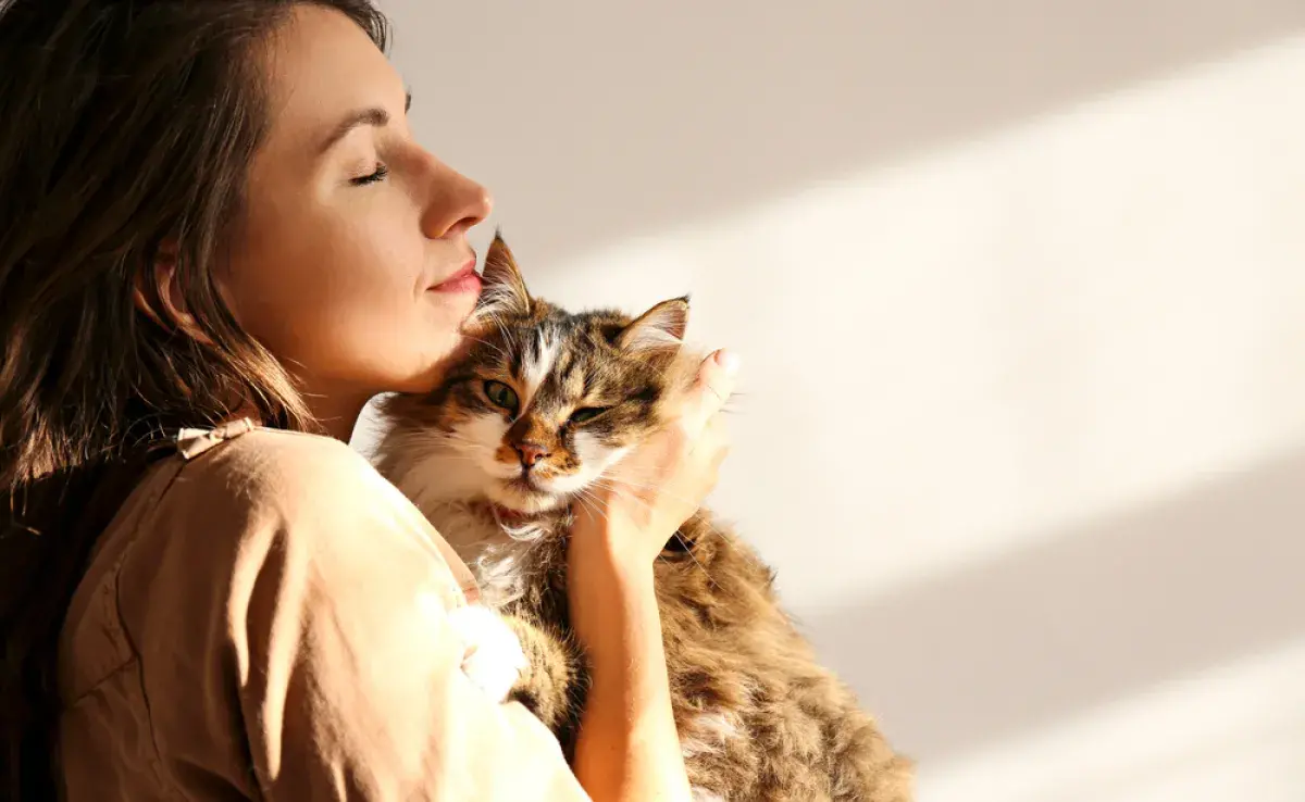 El amor de gato puede ser sutil, pero es muy profundo y verdadero  