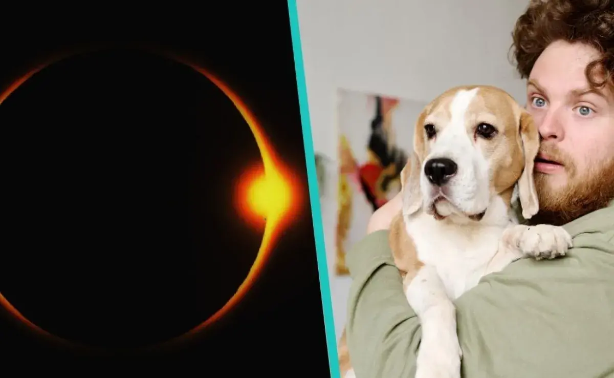 Por fortuna para los peludos, el eclipse durará pocos minutos