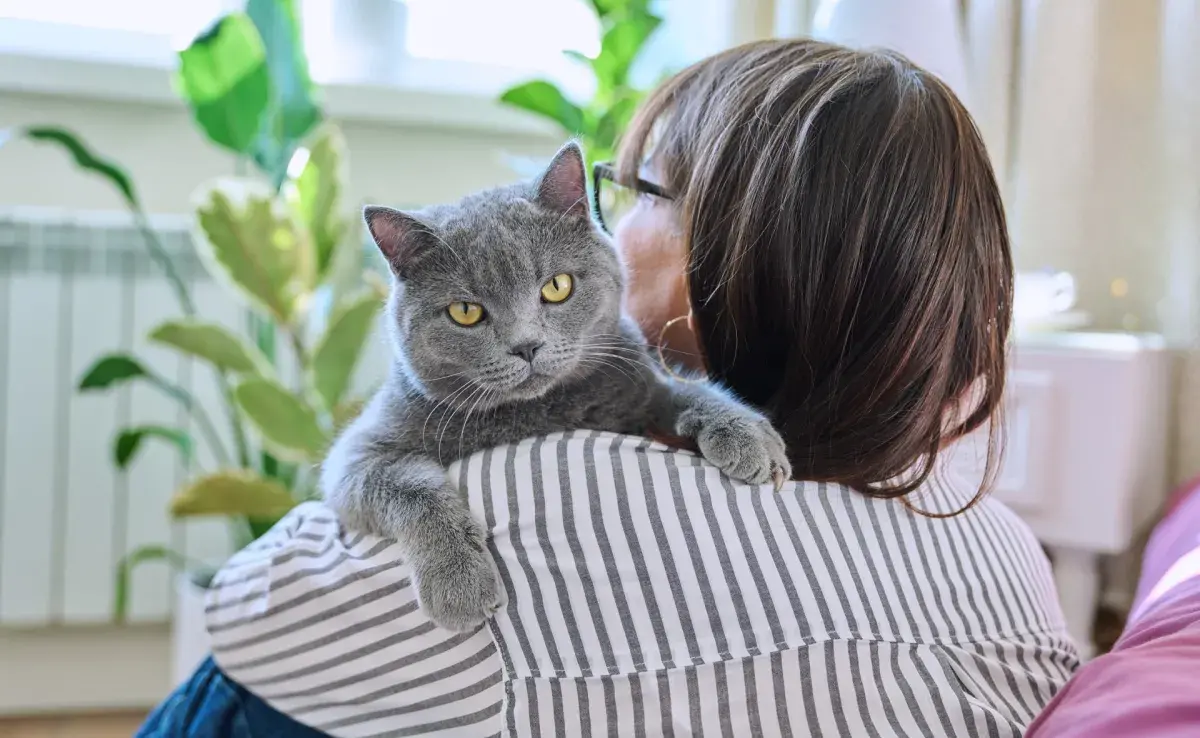 ¿Quieres descubrir la explicación de por qué el gato sigue al dueño por todas partes? 