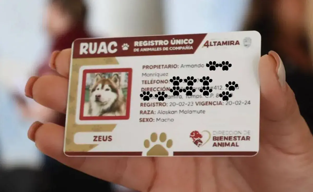 Imagen obtenida vía Garmoclick.com