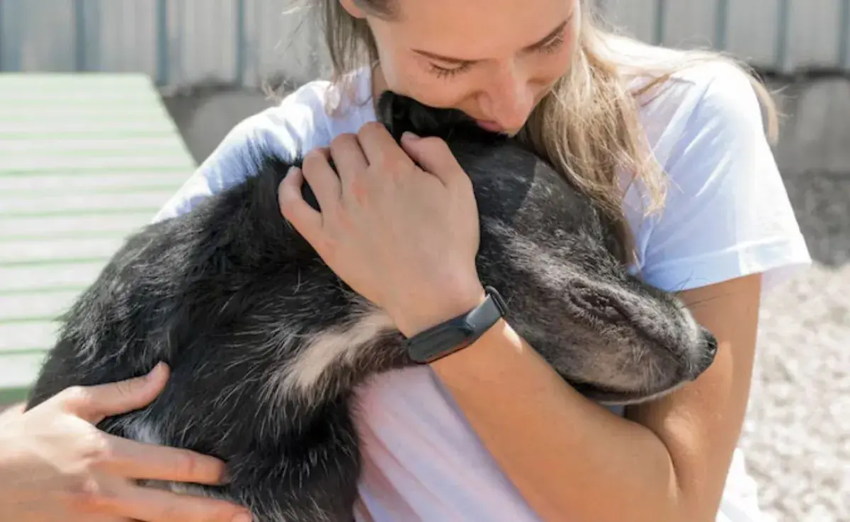 5 lugares mejor calificados por google para adoptar perros y gatos en Cali