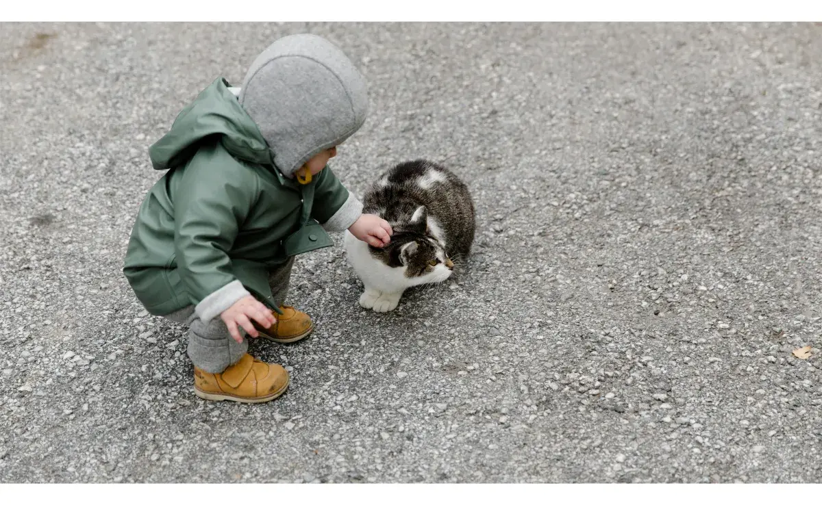 Tener un gato en casa le ayuda a los niños a desarrollar el sentido de responsabilidad. Foto: Pexels/Tatiana Syrikova