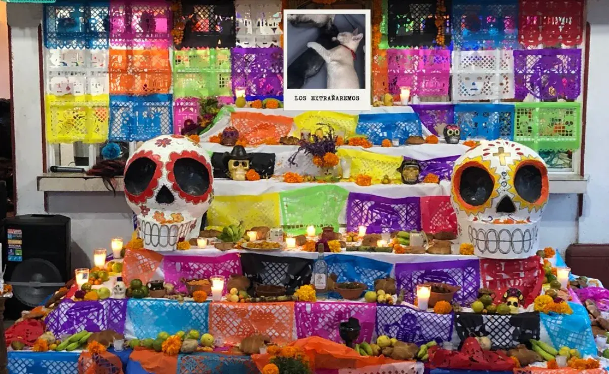 Honra a tu mascota con una Ofrenda de Día de Muertos personalizada.