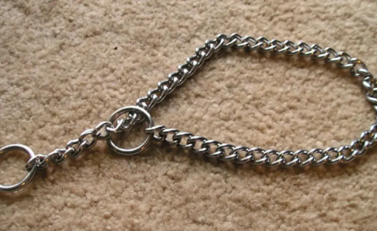 Por qué evitar cadenas de metal para tu perro