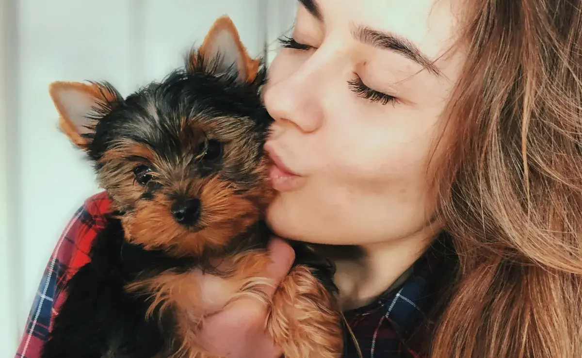 Existen tres tipos de dueños de perros. 