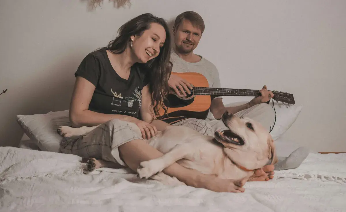 Los perros se pueden dormir si tienen música adecuada.