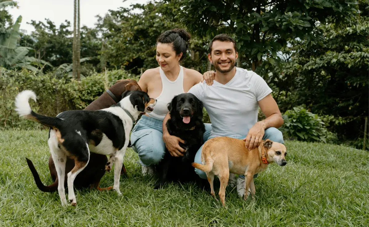 El adiestramiento positivo en perros es mucho más recomendable que los antiguos métodos de castigo.