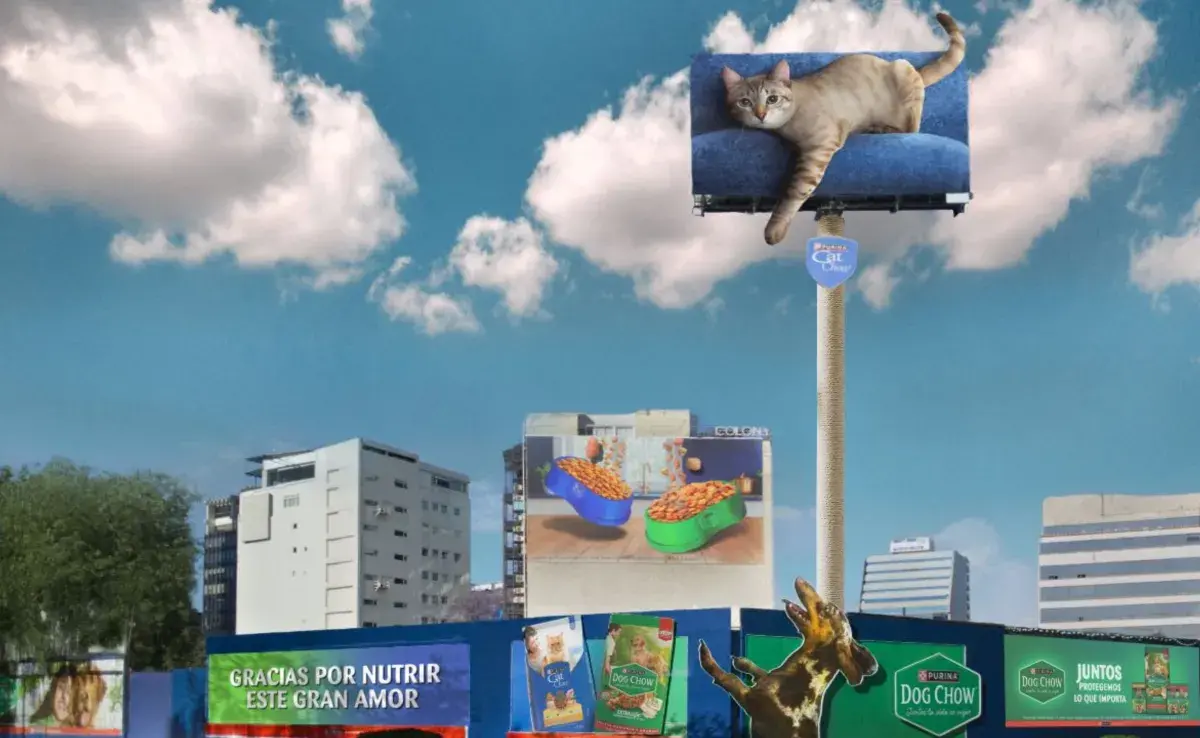 Concursa con tu perro y gato en el reto de Dog Chow y Cat Chow.