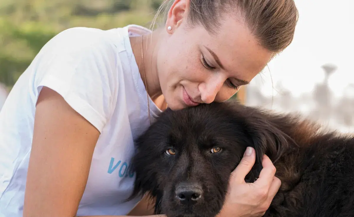 Si no sabes qué raza es tu perro, puedes acudir con un veterinario.