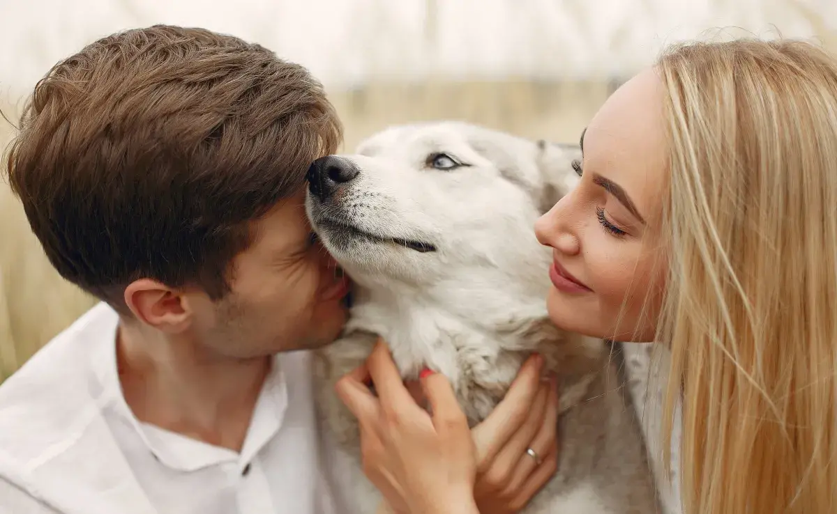 Decirle adiós a tu perro es un proceso doloroso y puede llegar a tomar años.