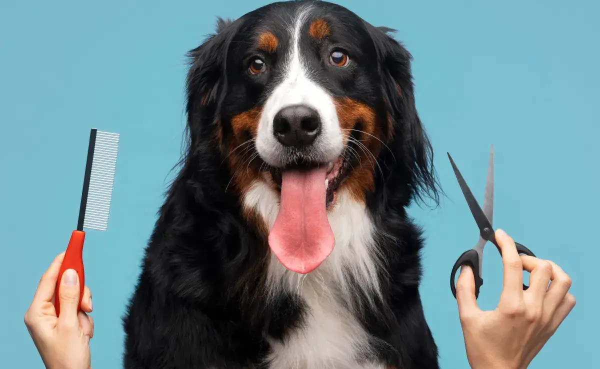 Cuando le cortes las uñas a tu perro, no te pongas nerviosa, pues él lo sentirá.