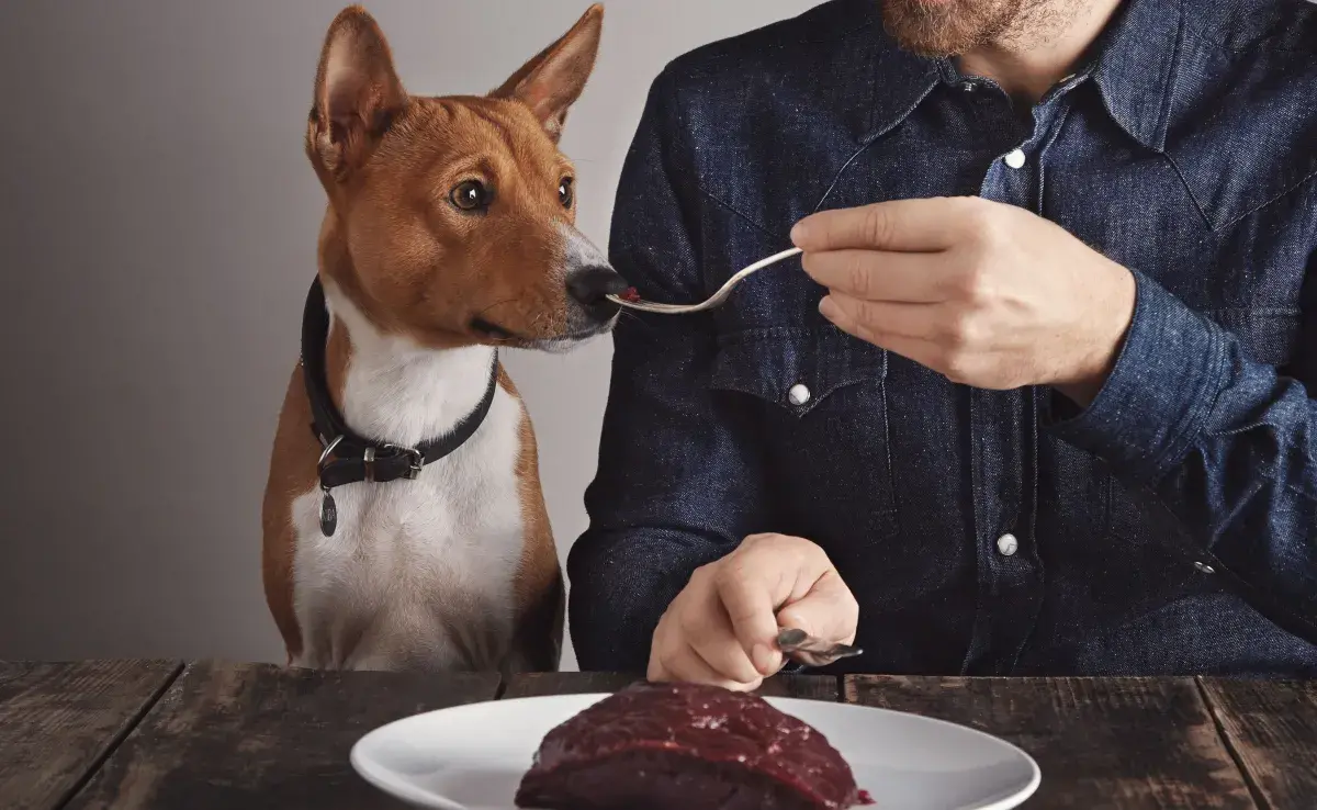 Mantén los restos de comida fuera del alcance de tu perro.