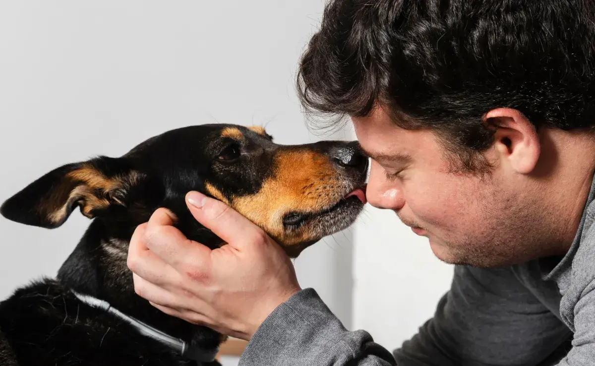 Tu perro sabe cuando hizo algo mal, así que hace estos gestos para pedir perdón.