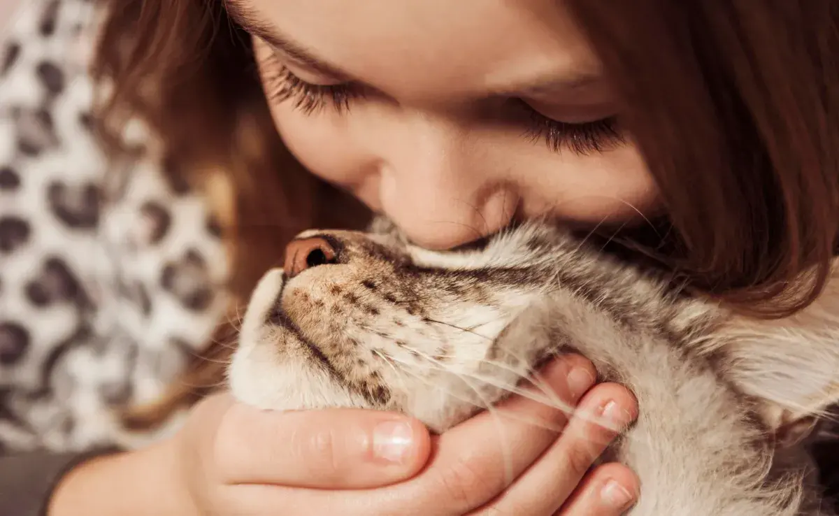 Los gatos necesitan sentirse seguros desde el primer día, así que acondiciona tu casa.