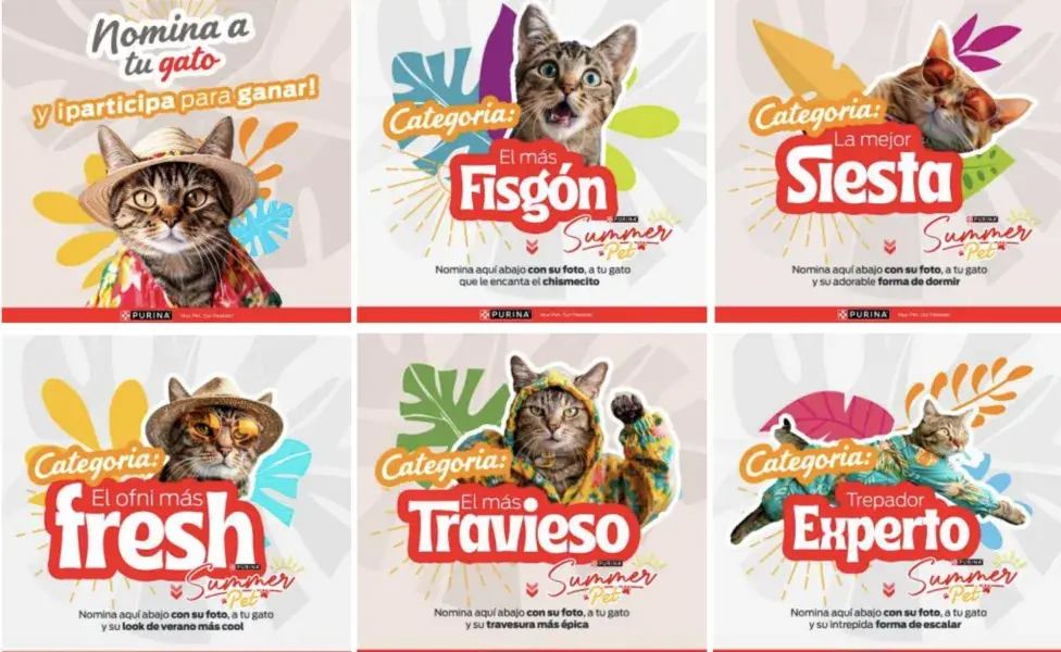 aplicar regraCelebra el Día del Gato compartiendo sus mejores fotos en el SummerPet Captura%20de%20pantalla%202024-08-08%20a%20la%28s%29%201