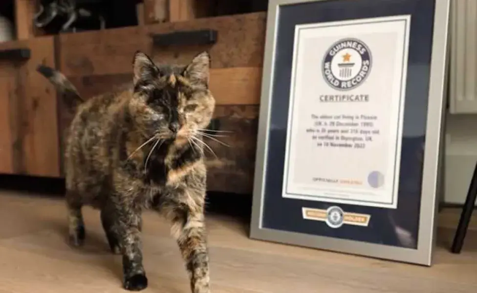 Flossie con su record guiness. Foto: Google/Vidanimal