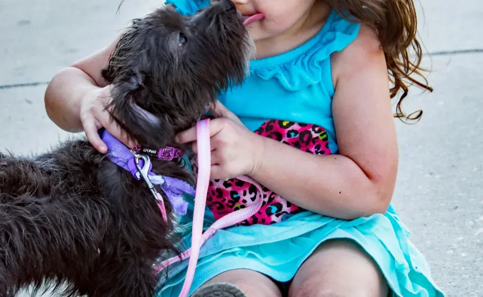 Adoptar a un perro te llena de felicidad, pero también es una responsabilidad
