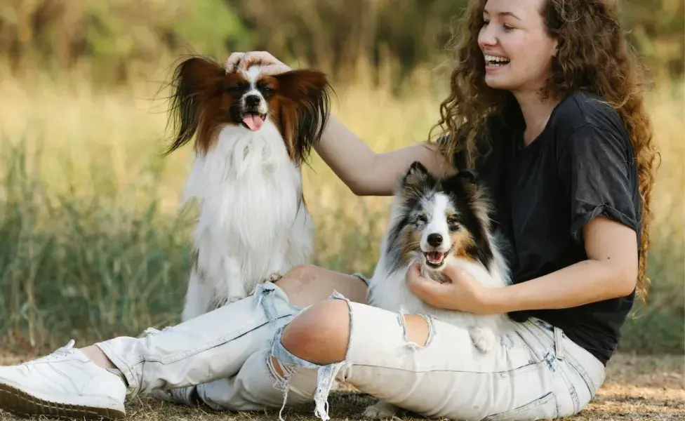 Los perros ven el amor como un asunto de lealtad.