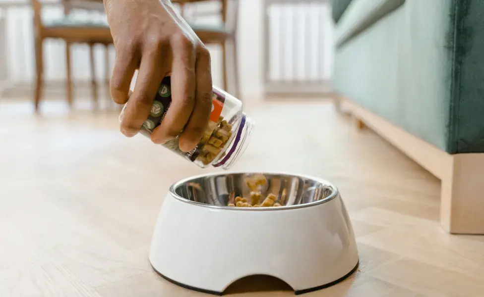 los alimentos para control de peso están formulados con proteínas