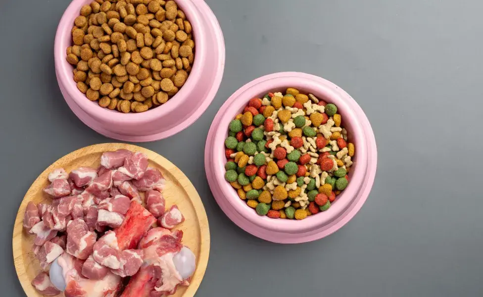 Una dieta formulada para perros con problemas digestivos debe contener ingredientes suaves y fáciles de absorber.