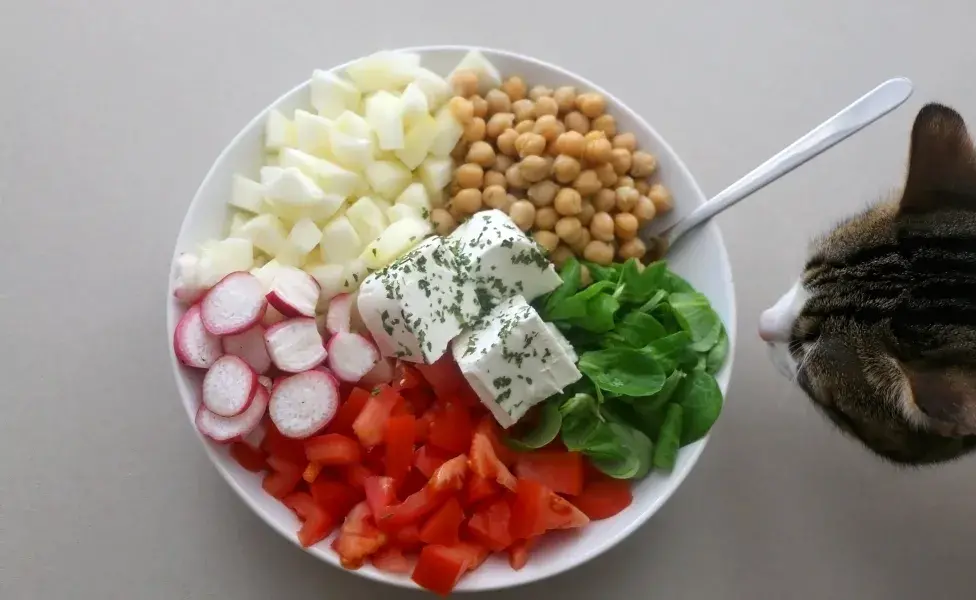 Además de ser una forma creativa de consentir a tu michi, esta receta es una excelente manera de introducir vegetales en su dieta de forma segura.