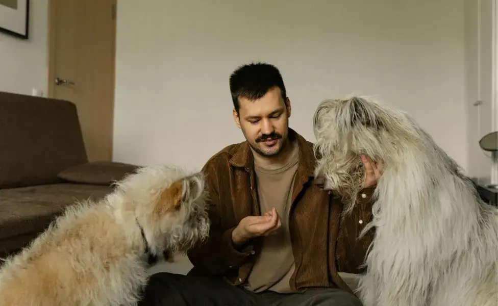 Entrenar a tu perro con amor, ayudará a que tenga menos problemas de comportamiento.