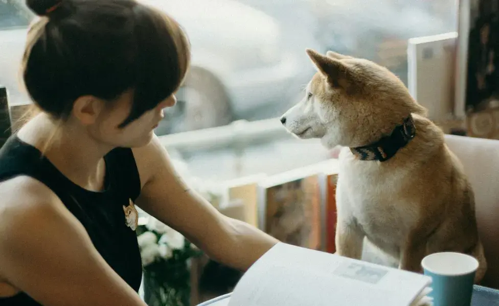 El estrés es contagioso entre humanos y perros.