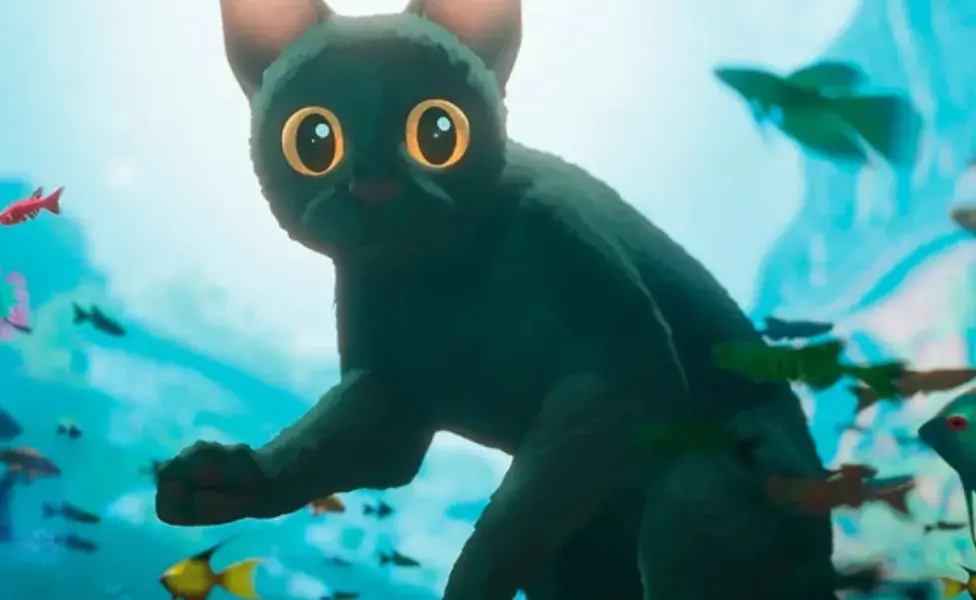Gracias a la película Flow, la adopción de gatos negros han subido.