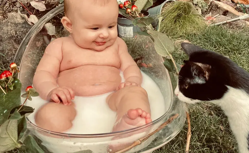 Los bebés aprenden de la empatía cuando hay un gato en caso. Foto: Pexels/Abbey Chapman
