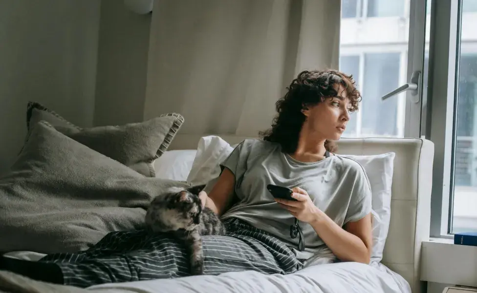 Los gatos cuando tienen frío buscan lugares donde puedan sentirse cobijados.