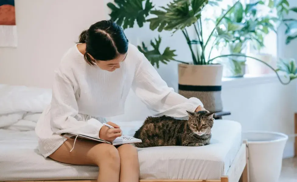 Los gatos suelen mover su cola para expresar un sentimiento.