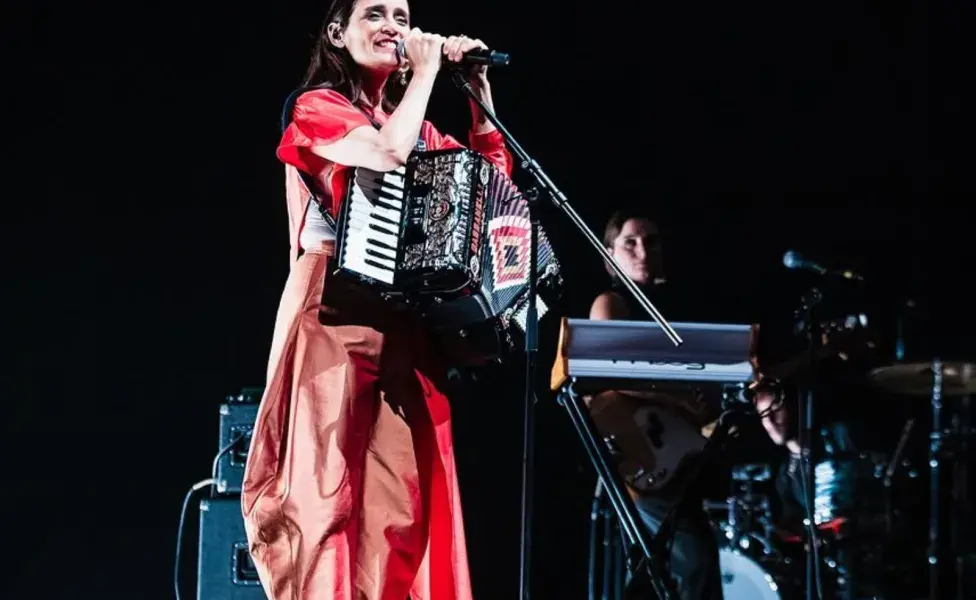 La canción Limón y sal no fue escrita para los gatos de Julieta Venegas.