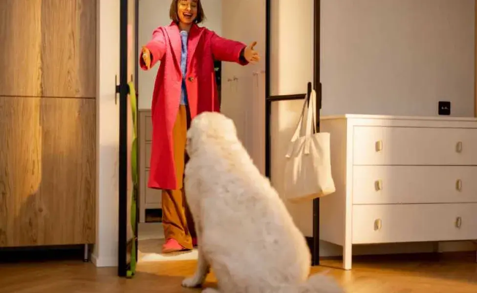 mujer a punto de abrazar a su perro. Foto: Envato/RossHelen