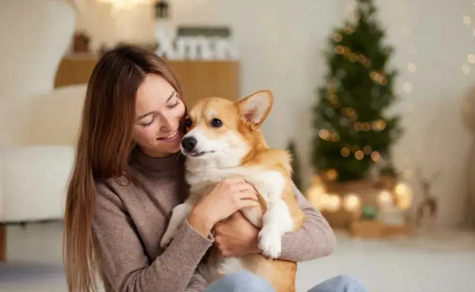 mujer feliz abrazando a su corgi. Foto: Envato/ kolesnikovsergii