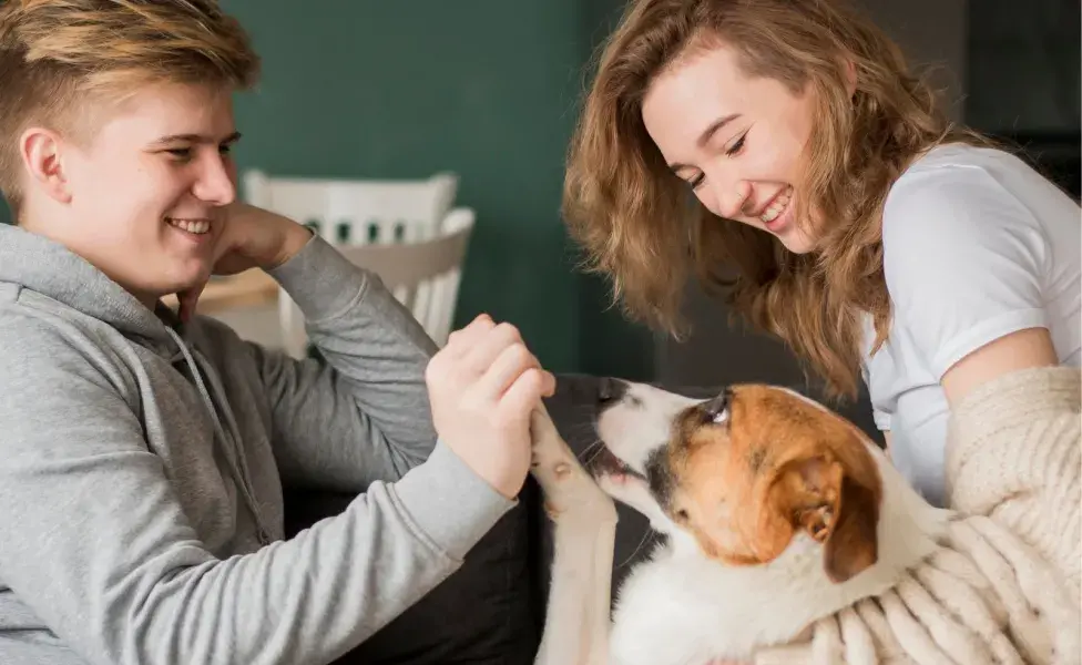 Una mascota puede hacer a una persona feliz, como un buen salario en el trabajo.