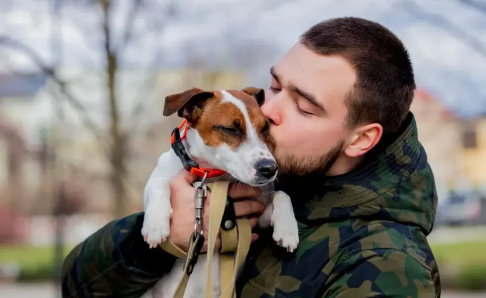 Los perros pueden volverse más atentos y protectores