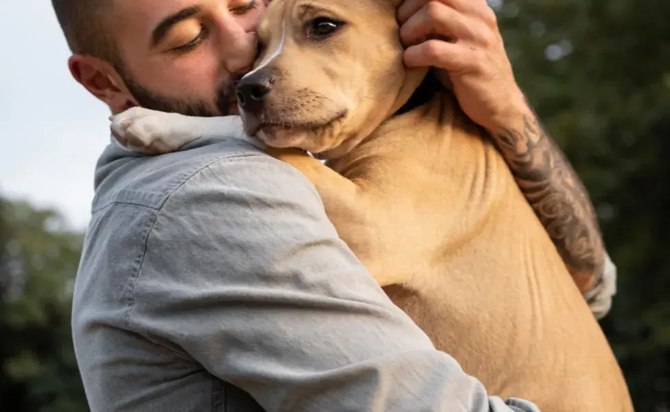 Los perros detectan tu enojo por el tono de voz.