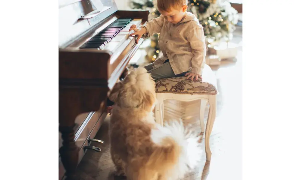La música clásica reduce el estrés de los perros.