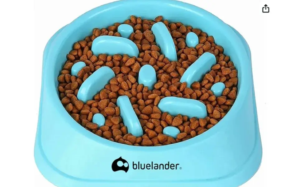 El comedor lento ayuda a que tu perro no se atragante. Foto: Amazon